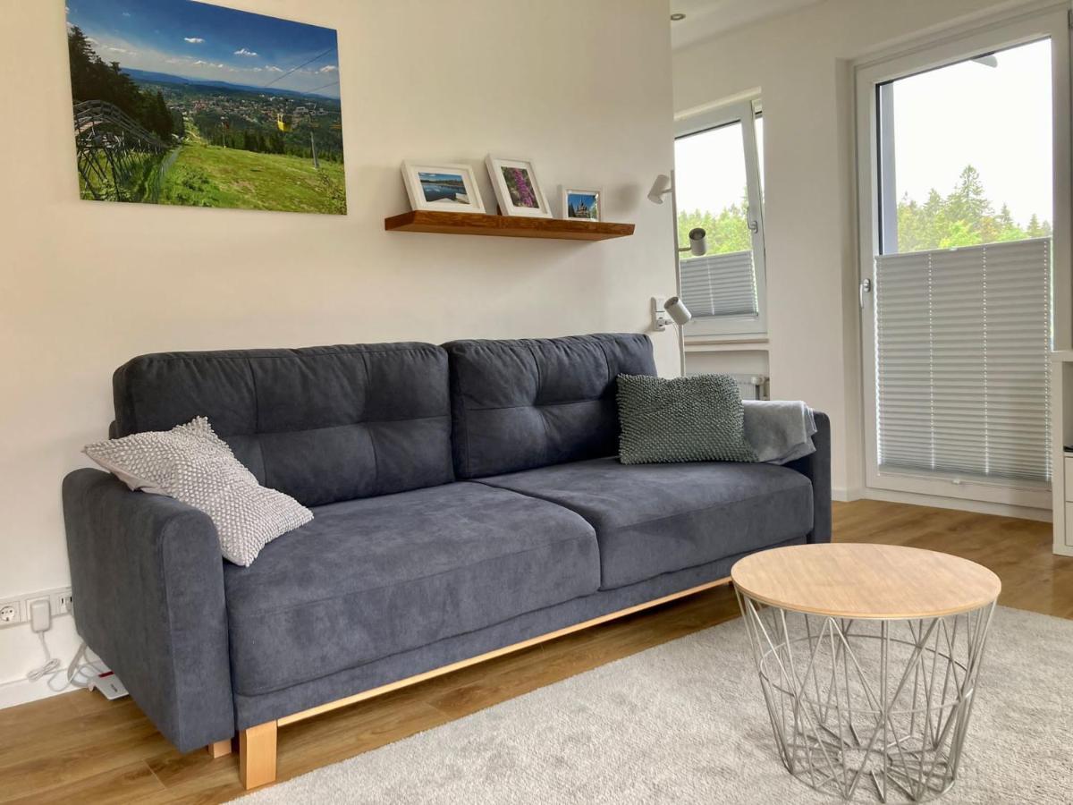 Hahnenklee Charme - Moderne Neue Ferienwohnung Mit 2 Balkons กอสลาร์ ภายนอก รูปภาพ